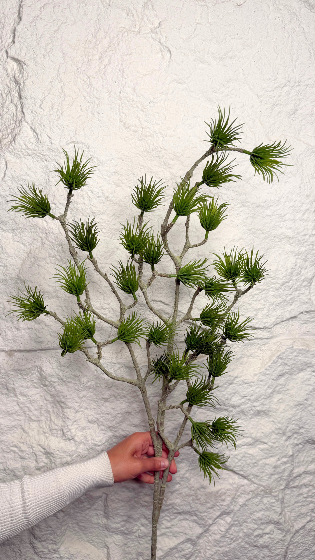 CONIFER BLOOM BRANCH
