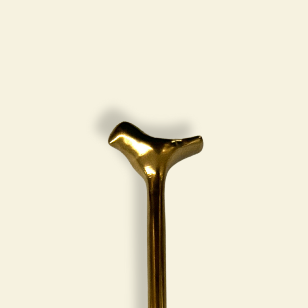 GOLDEN BIRDIE ACCENT SPOON SET